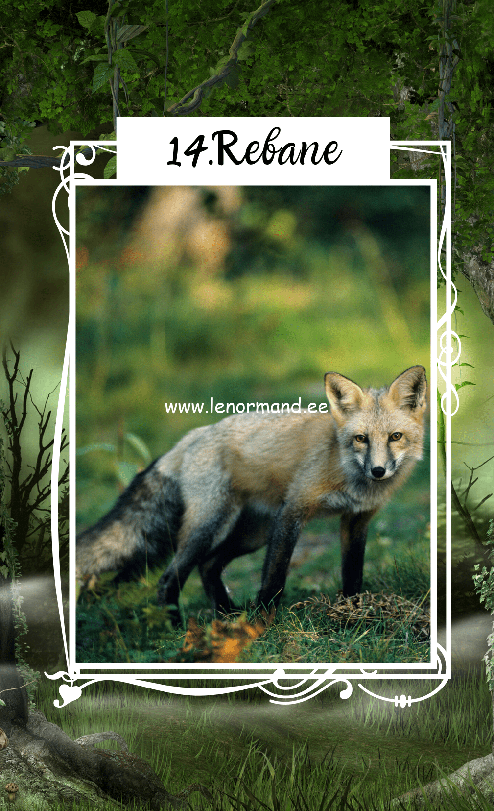 lenormand rebane
