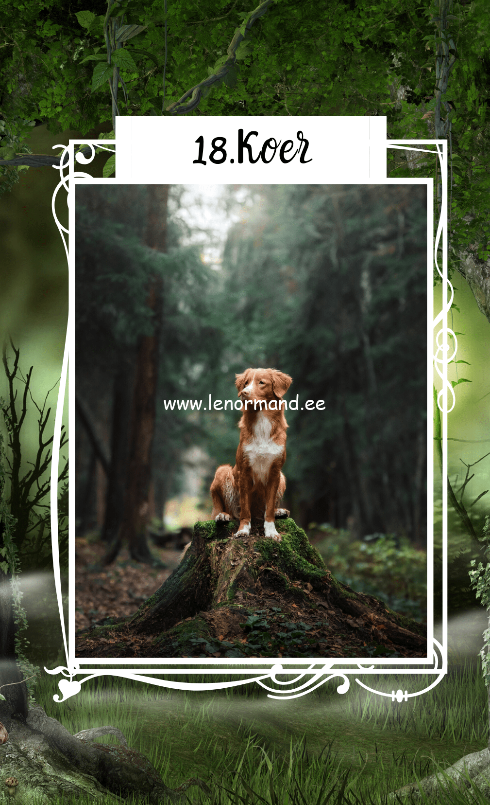 lenormand koer