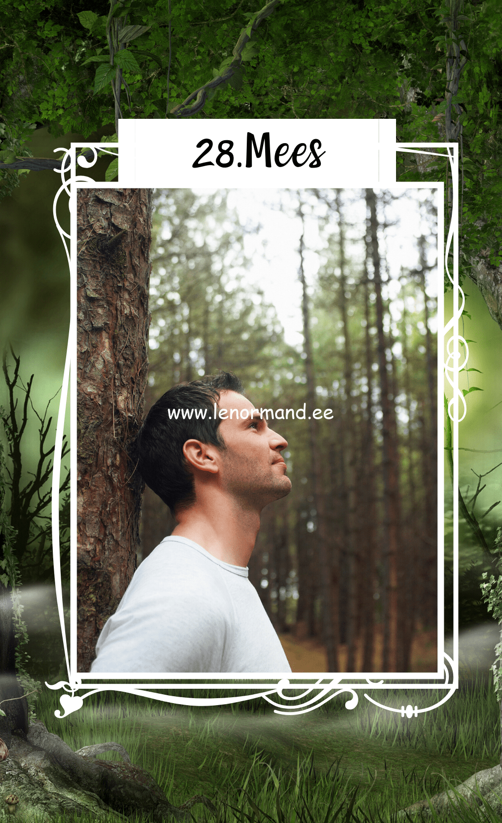 lenormand mees