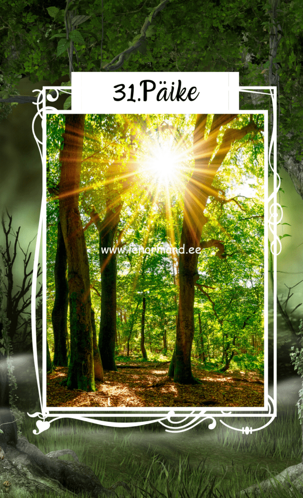 lenormand päike