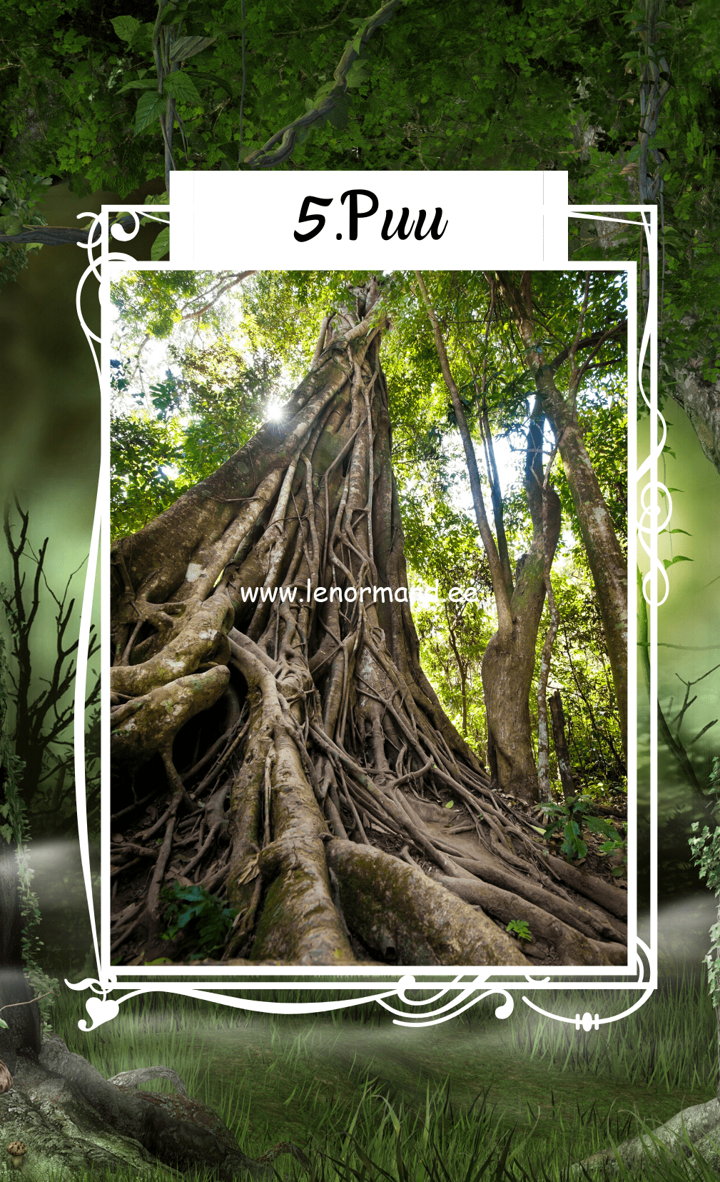 lenormand puu