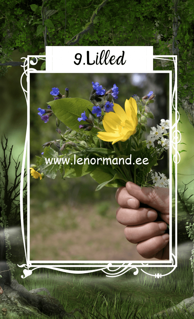 lenormand lilled