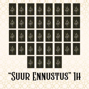 "Suur Ennustus" - personaalne konsultatsioon kaartidega (1h), vastused sinu küsimustele