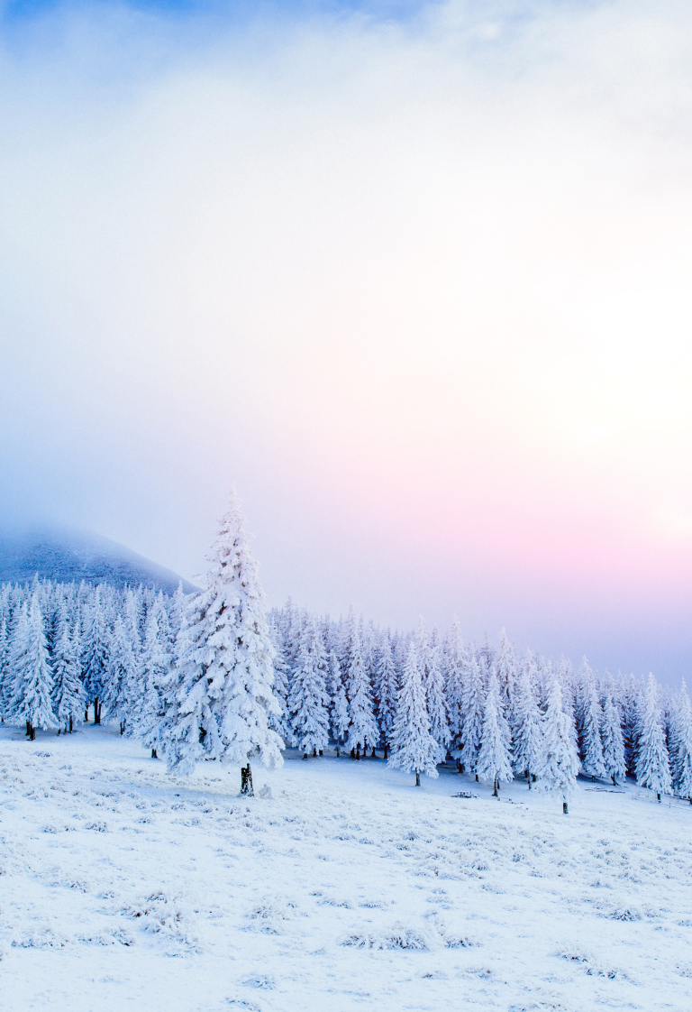 Lenormand talvekaart - TAGUS